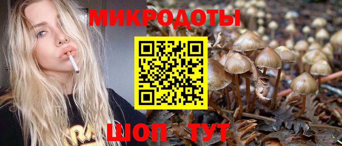 Псилоцибиновые грибы MAGIC MUSHROOMS  Псилоцибиновые грибы Magic Shrooms  Камышин  Вход с VPN 